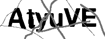 Loading CAPTCHA Image...